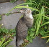 Wendy - Photo 4