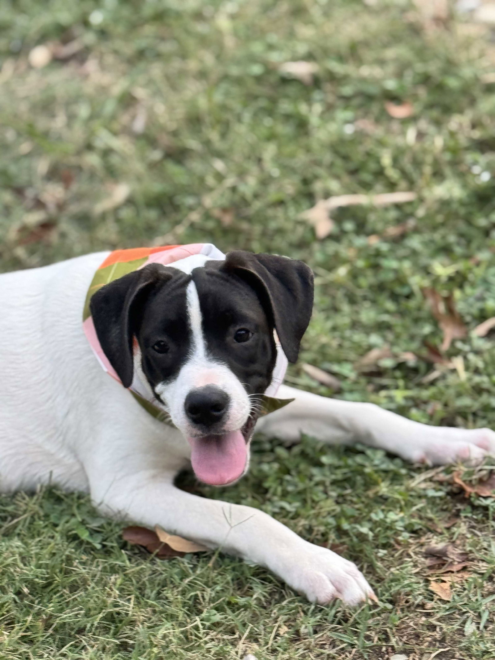 Bucky new pics/video, photo 4