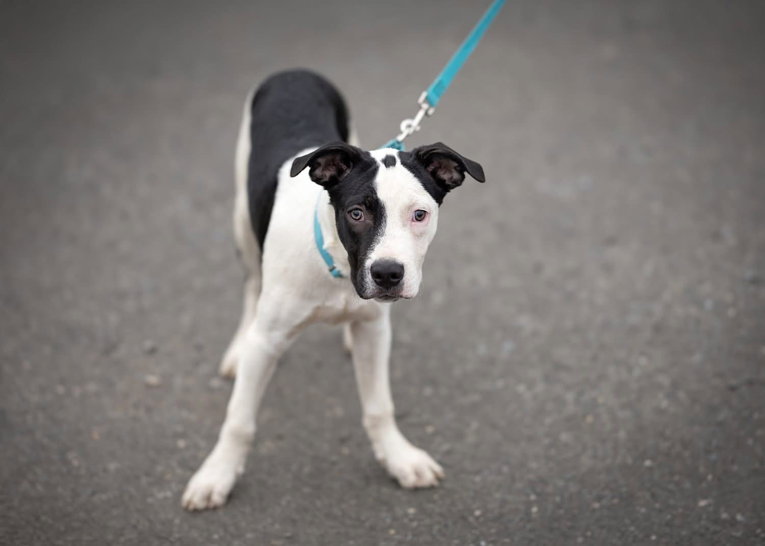 Cassius ~ meet me!, photo 3