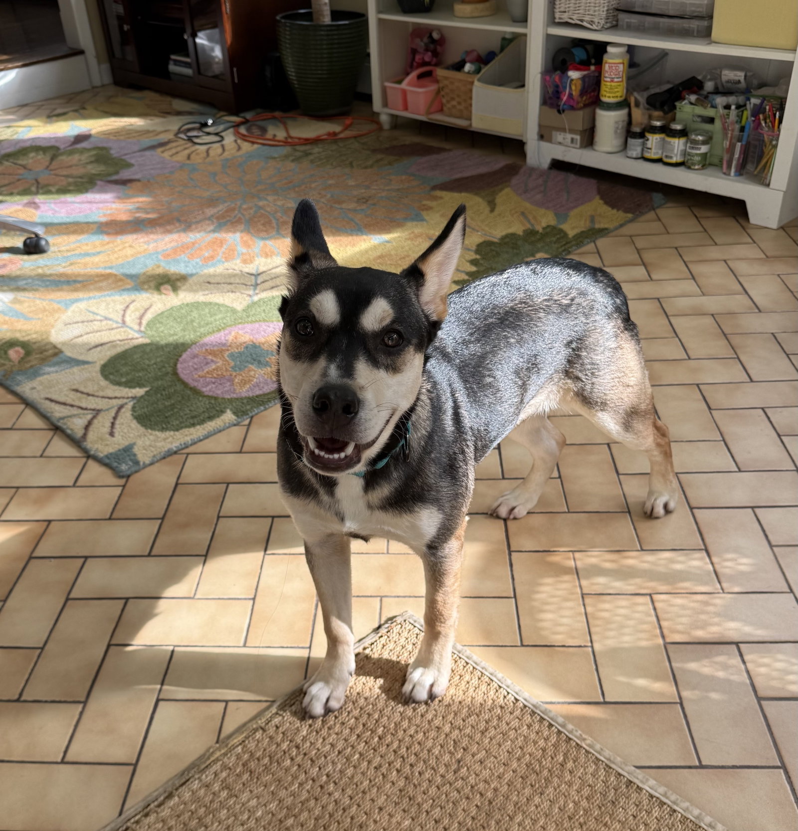 Daisy~meet me!, photo 4