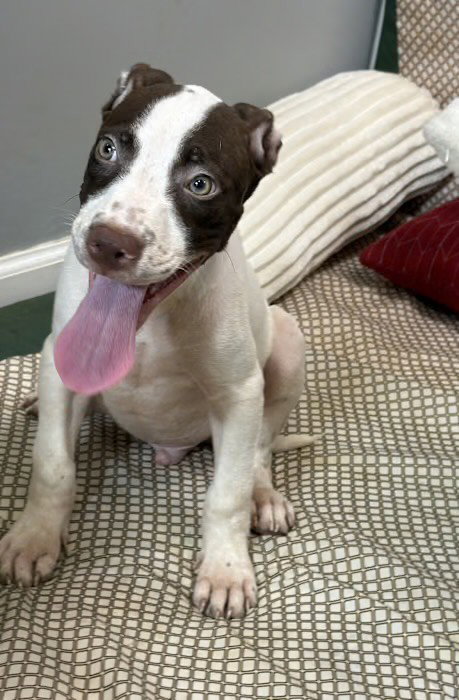 Doug, photo 2