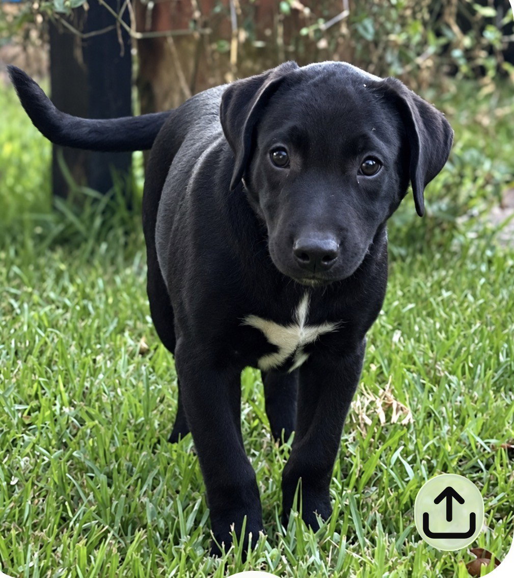 Gus~meet me!, photo 2