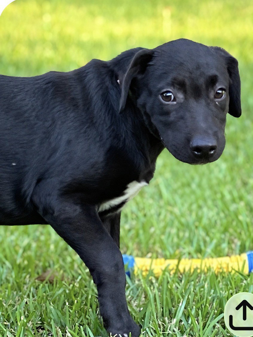 Gus~meet me!, photo 4