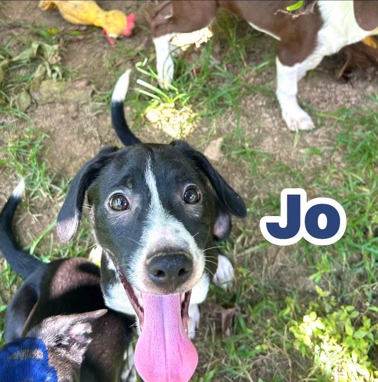 Jo ~ meet me!