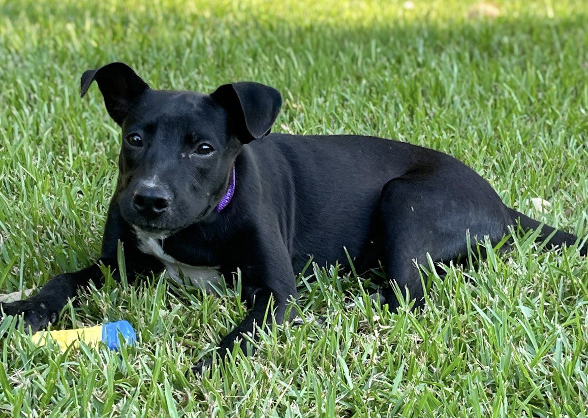 Laney~meet me!, photo 2