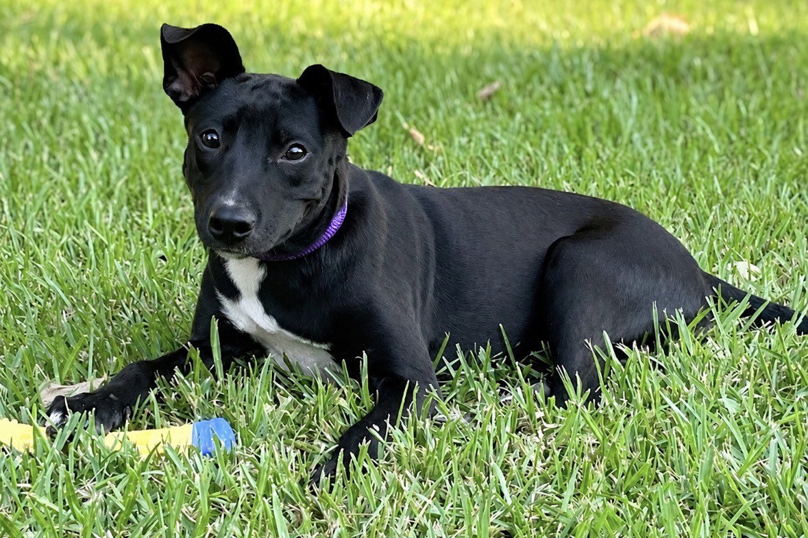 Laney~meet me!, photo 3