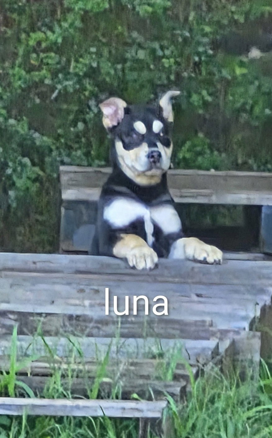 Luna ~ meet me!