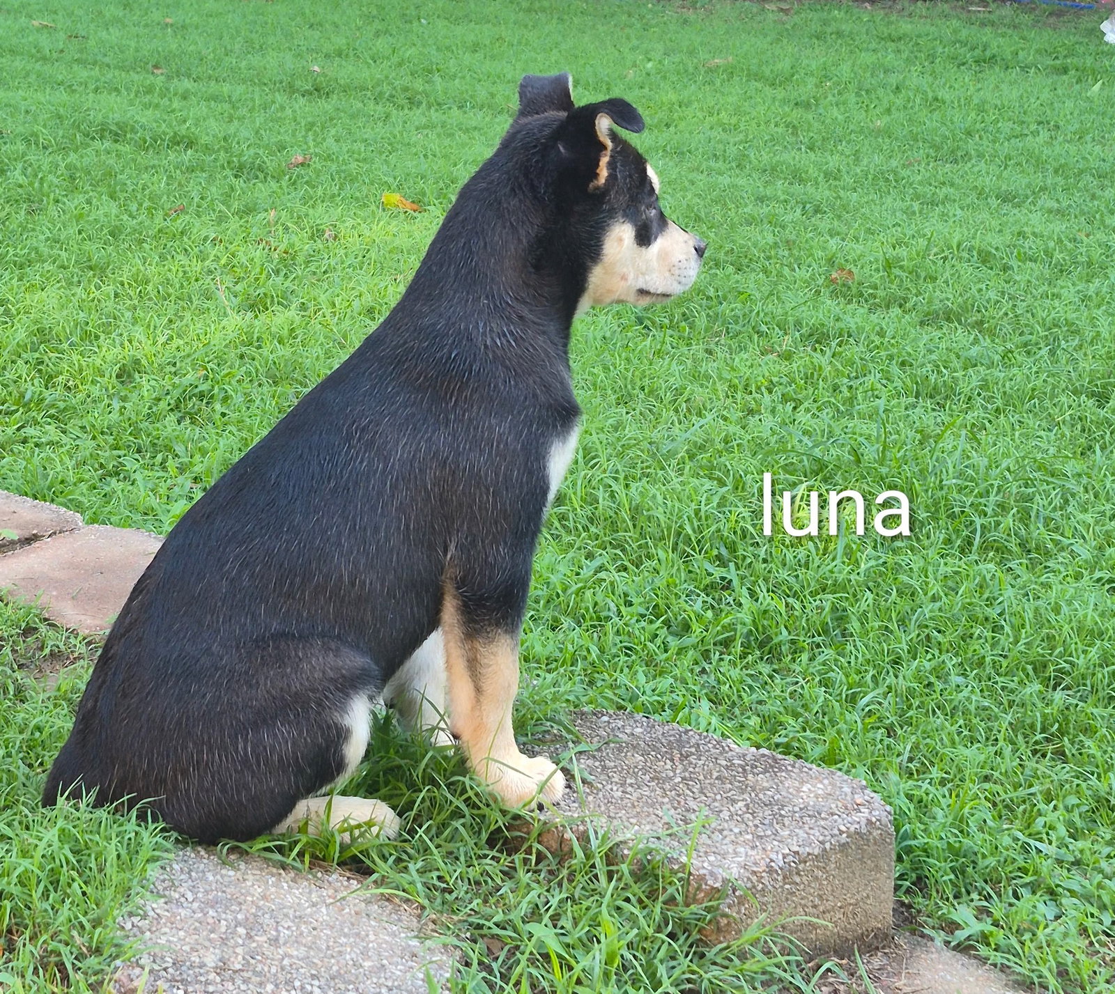 Luna ~ meet me!, photo 2