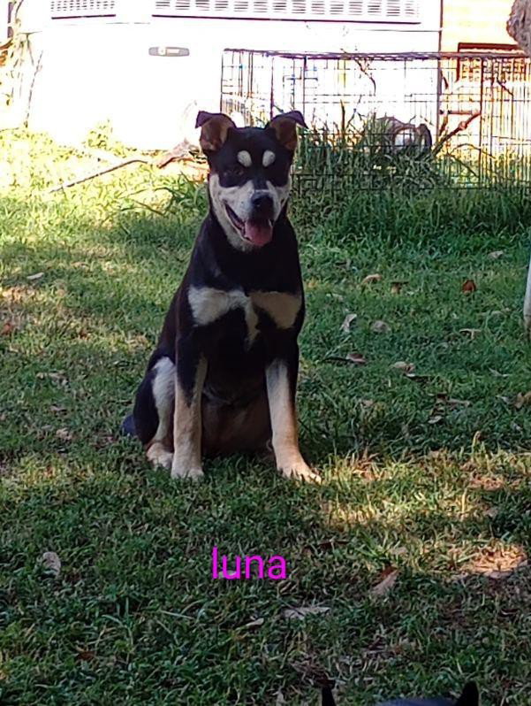 Luna ~ meet me!, photo 3