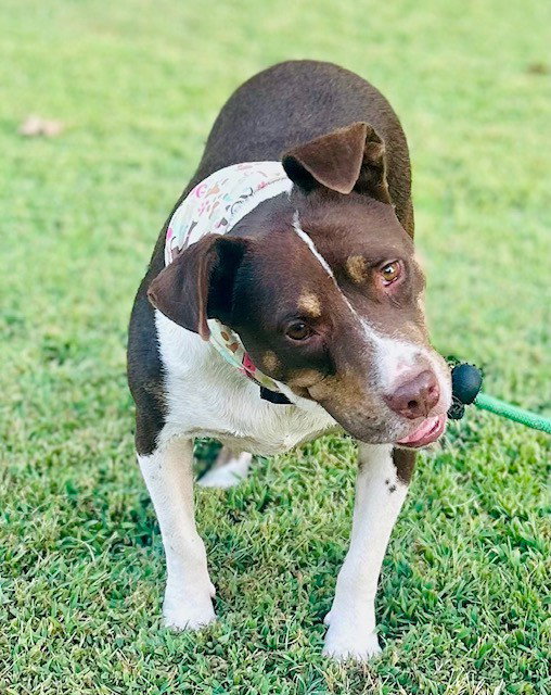 Mitzi