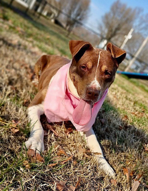 Mitzi, photo 2