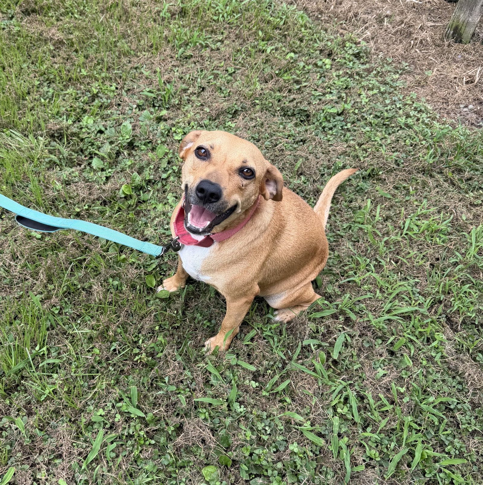 Peaches ~ meet me!, photo 2
