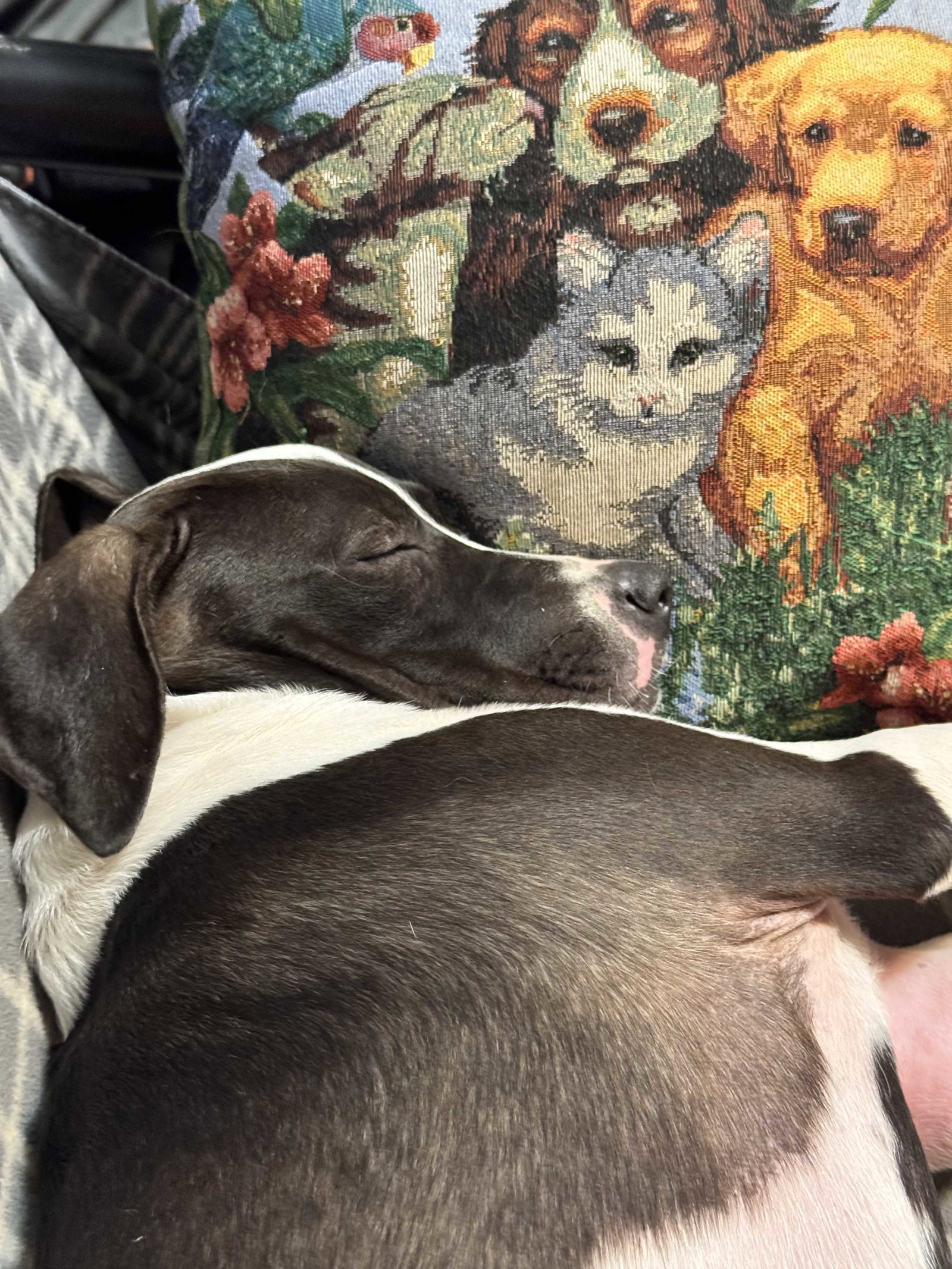 Peggy, new pics, video, photo 3