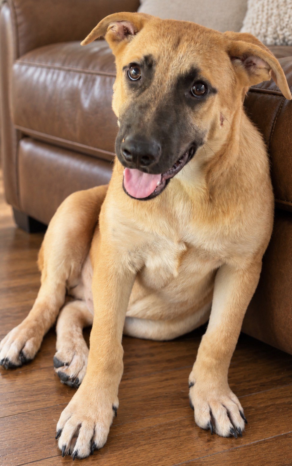 Tucker, photo 4
