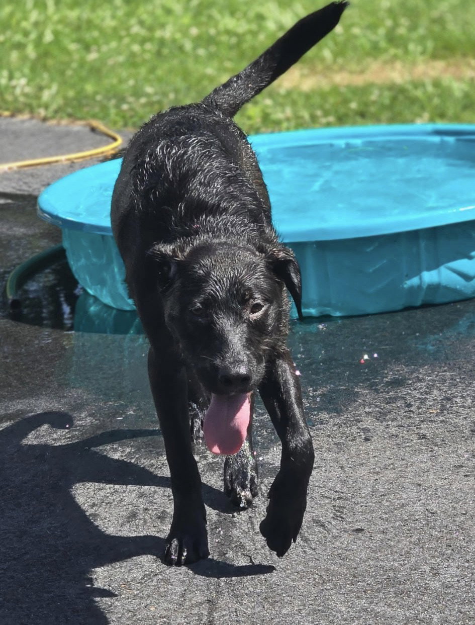 Vera~meet me!, photo 2