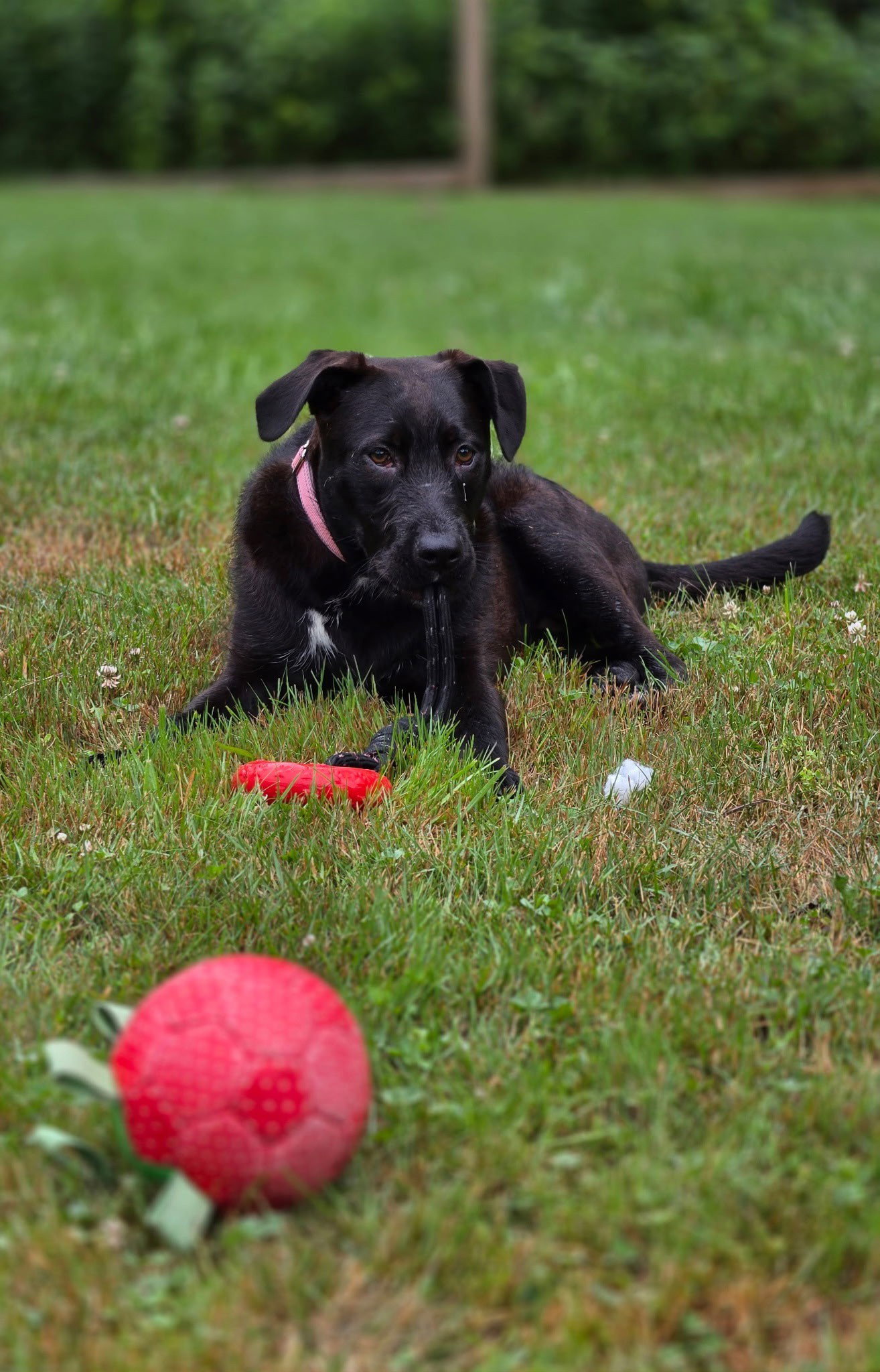 Vera~meet me!, photo 4