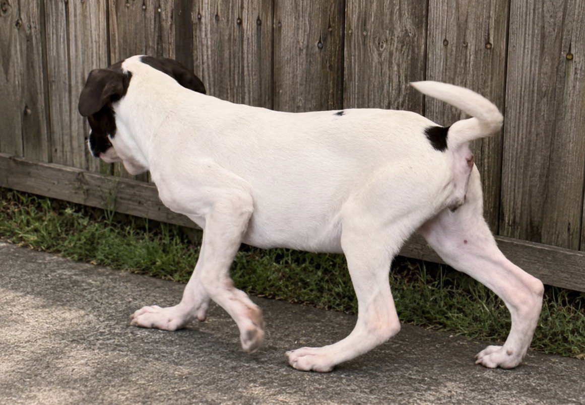 Wilma~meet me!, photo 2