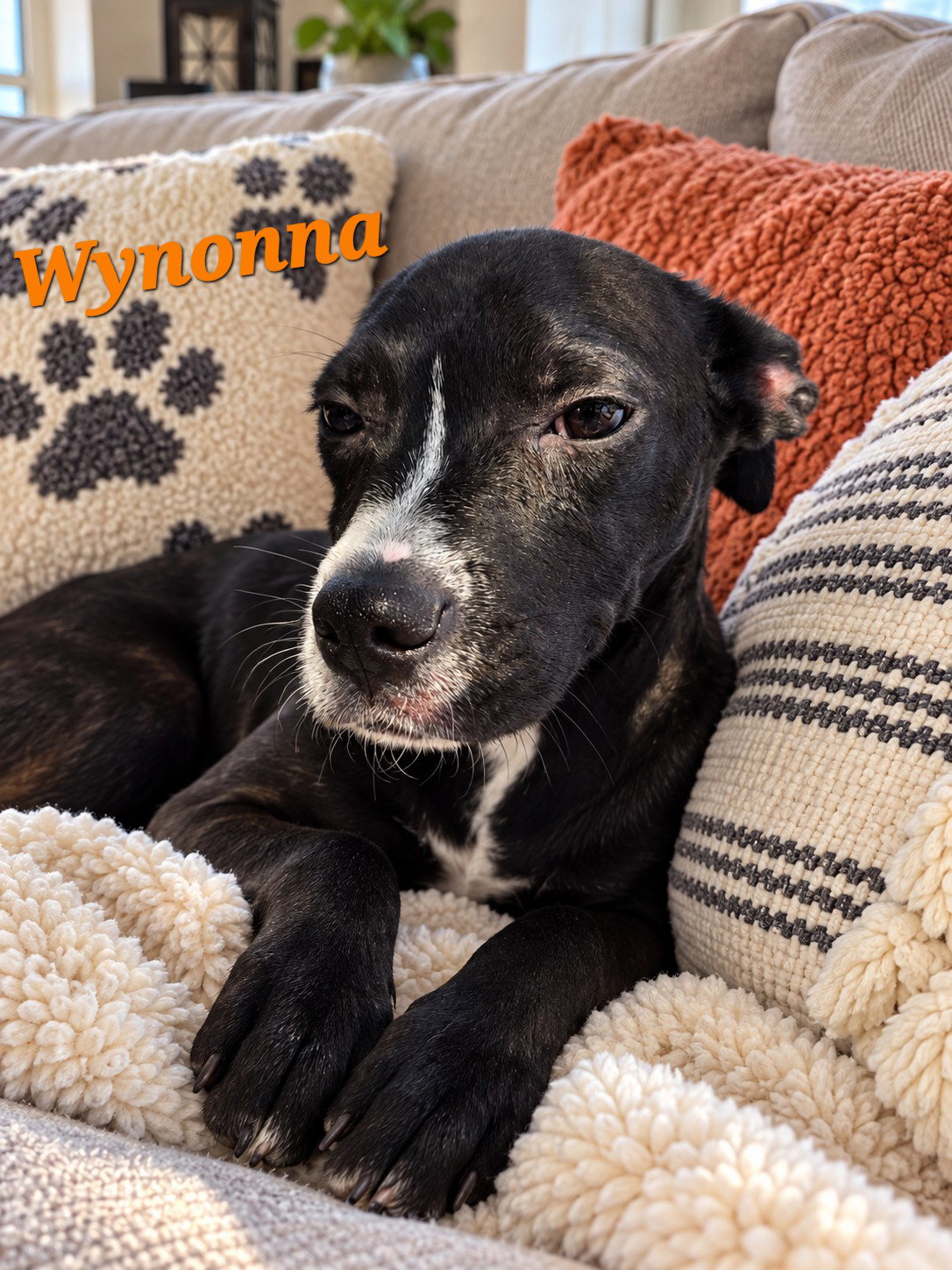 Wynona, photo 2