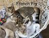 French Fry