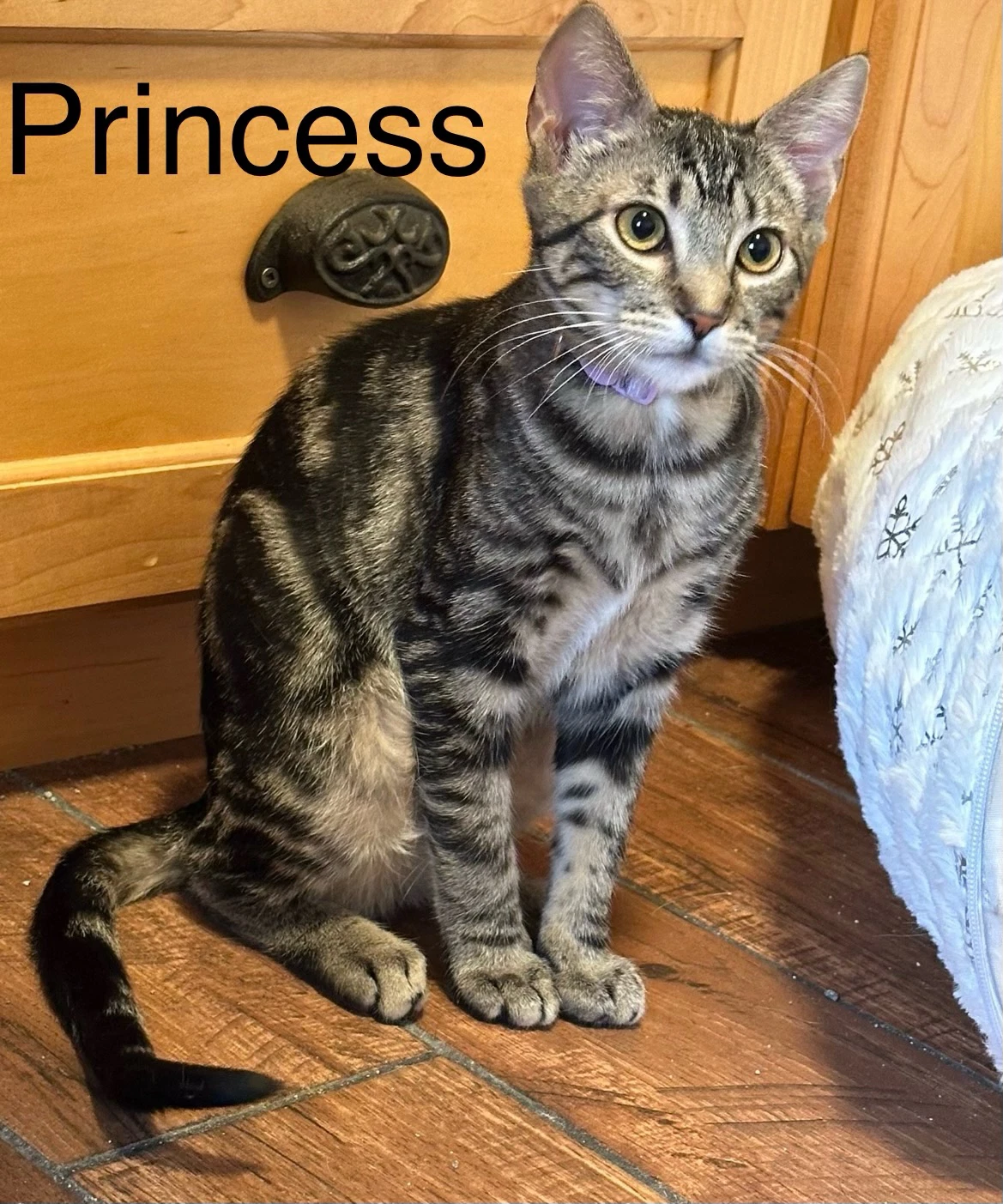 Princess