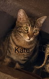 Kate