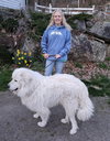 Levi *sanctuary dog* in NH - Photo 3