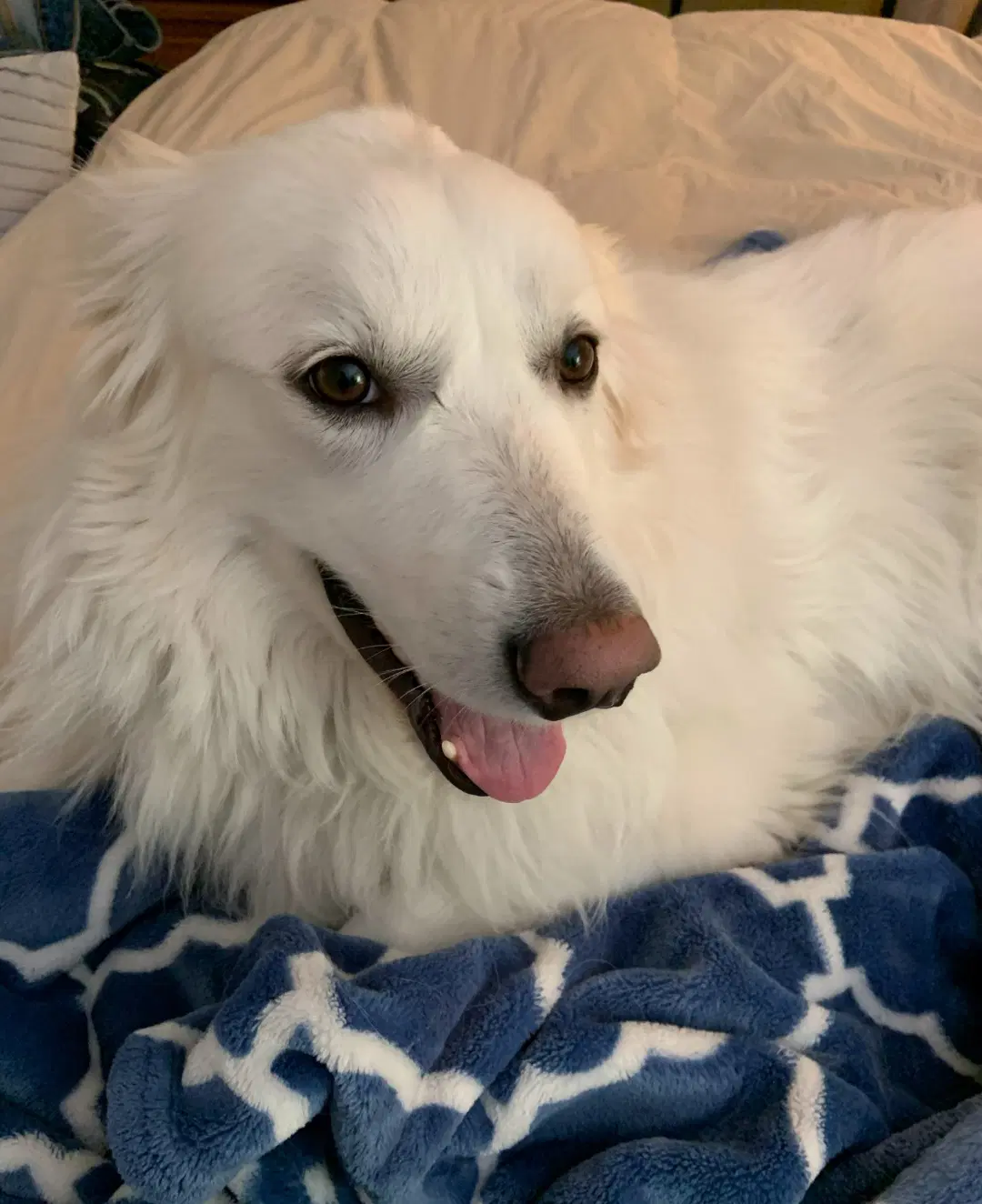 Sadie In Nhsponsored image 2
