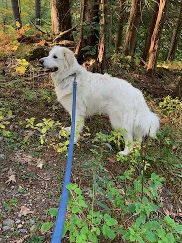Sadie In Nhsponsored image 4