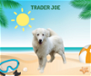 Trader Joe -