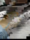 Sweetie- meet me Sat 5/17