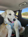 Sweetie- meet me Sat 5/17