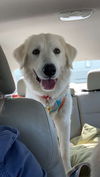 Sweetie- meet me Sat 5/17