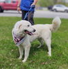 Sadie (2)