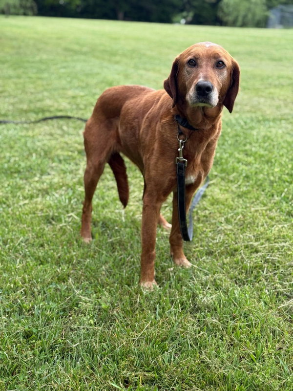 Annie in NH