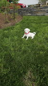 Phoebe available  6/4