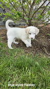 Cassie available 6/4