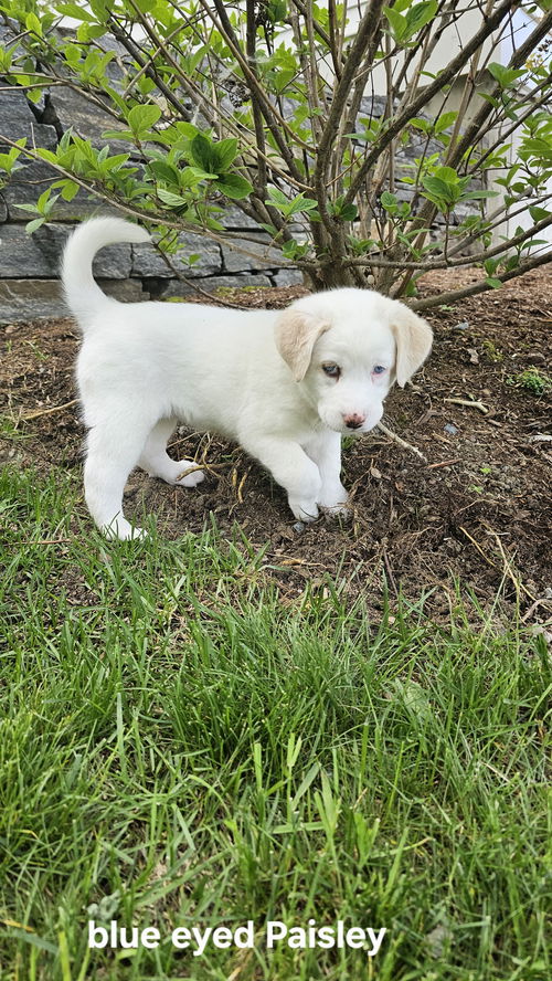 Cassie available 6/4