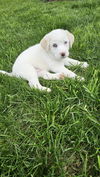 Cassie available 6/4