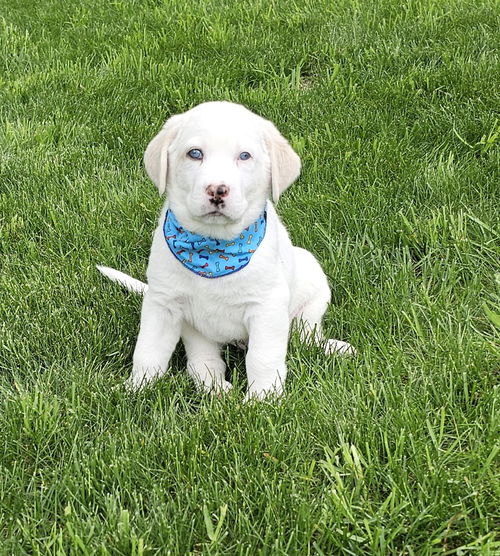 Tex available 6/4
