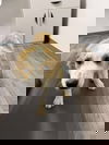 Athena - coming soon
