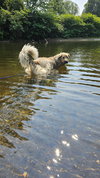 Sophia - Photo 8