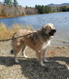 Sophia - Photo 1