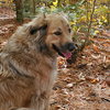Sophia - Photo 2