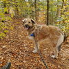 Sophia - Photo 3