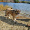Sophia - Photo 4