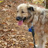 Sophia - Photo 5