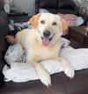 Nellie in NH