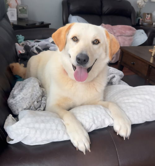 Nellie in NH