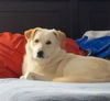Nellie in NH