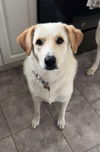 Nellie in NH
